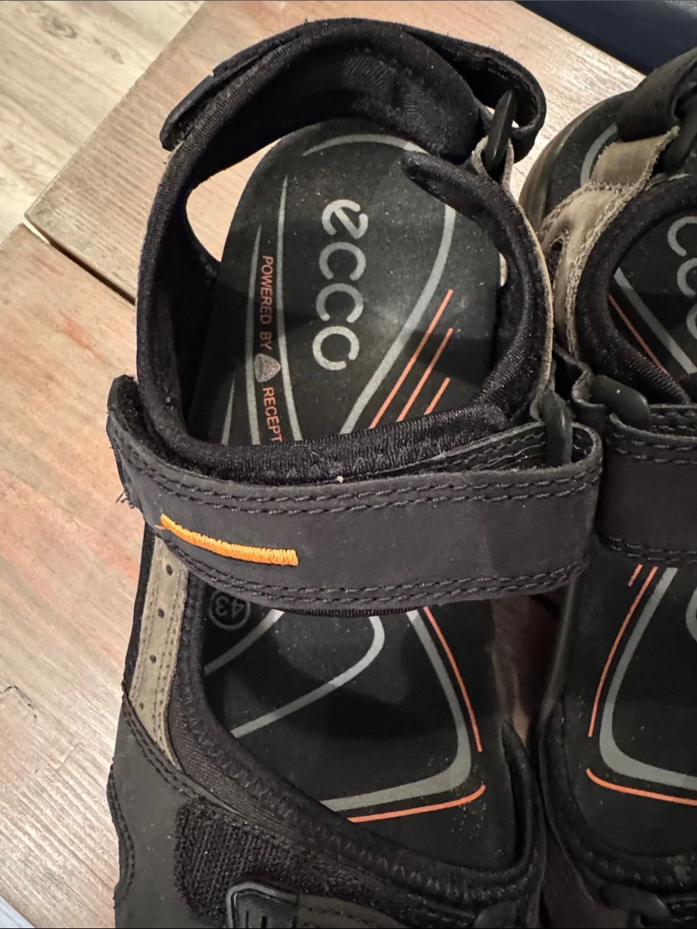 Ecco lightweight kids